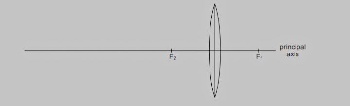 CBSE Class 10 Science Important Questions 2024