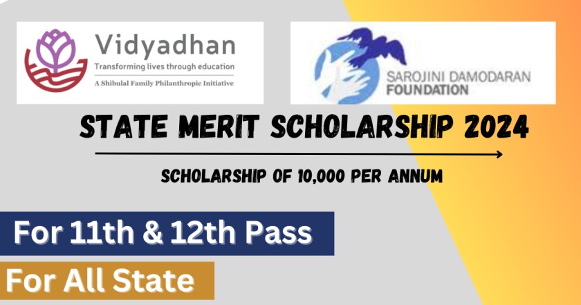 State Merit Scholarship 2024 For 11th and 12th Students