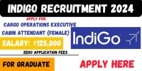 IndiGo Recruitment 2024, Freshers Can Apply For Various Post